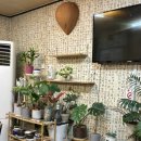 옥경이네 생태찌개 이미지