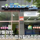 힐데스크리닝 이미지