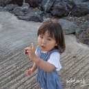 En Casa 펜션 네이버블로그