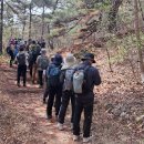 주천면 숲속전원마을 | 지리산둘레길 운봉~주천 구간(2) 14.7km 5시간 30분┃구룡치와 개미정지 서어나무 쉼터