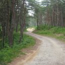 바우길 11구간 이미지