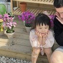 다정다감, 봄 이미지