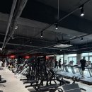 피트니스 리본 이미지