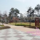 서농초등학교(병설) 이미지