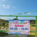 제7회 하동북천코스모스메밀꽃축제 | 2025 하동 북천 코스모스 메밀꽃 축제 후기, 볼거리 먹거리 가득 🌸