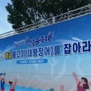 정남진글로벌 | 2026 장흥 물축제 일정 총정리｜작년 후기부터 올해 포스터까지