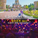 씨스페이스 월배파크점 | 도쿄 디즈니랜드 디즈니씨 입장권 예약 파크호퍼 dpa 미녀와야수 라푼젤 겨울왕국 불꽃놀이