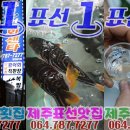 표선1번회센타 이미지