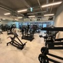 마이트짐 이미지