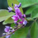 안산골농촌체험마을 이미지