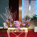 연보라(주) 이미지