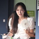 김세연 카카오 검색결과