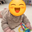 누누슴 | 빕케팅 없이 살수 있는 누누슴 패브릭 테리빕