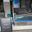 노인회관 건너편 횡단보도 | 부천 심곡동 맛집 '싱싱회관' 대방어 내돈내산 후기 :: 10kg 대방어와 역대급 스끼다시!