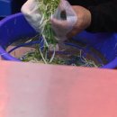 황금시장식육점 이미지