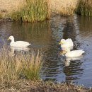 판포2060 | 제주도 부모님 코스 서쪽 한 바퀴 2박 3일 여행 (완벽했던 제주도 효도 여행 코스)