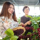 굿모닝 농장 이미지