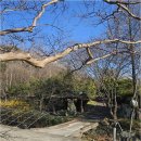 초이지아 이미지