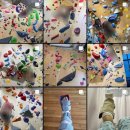 실내암벽장 이미지