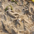 본가야 호텔 이미지