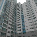 초읍동-11 이미지