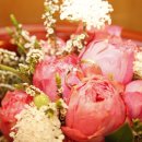 임마누엘헤어 이미지