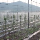 1호농장 이미지