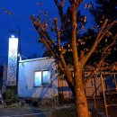 용궁 민물장어 이미지