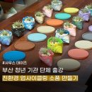 친환경 식물 미술관 | 부산 청년 기관 센터 친환경 업사이클링 단체 출강 식물 화분 만들기 공예 프로그램