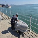 낙지특화거리 이미지