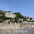 매미농장 이미지
