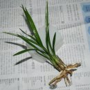 축동농협 이미지