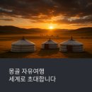 몽골 자유여행 완벽 가이드 – 유목민 체험부터 초원 투어까지