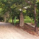 와야2리 마을회관 이미지