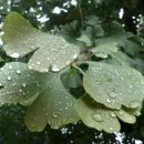 부산진 우체국 앞 이미지