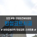 대경이즈뷰아파트 | 인천 탄성코트 부평대경이즈뷰아파트 베란다 결로방지 페인트 시공 및 필요성