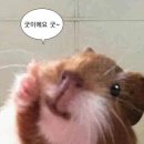 석마케팅 - 부산진구 동성로 137 | 석마케팅