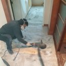 신원아파트 이미지