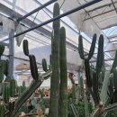 서부농업기술센터 이미지