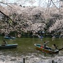 백조호수공원 이미지
