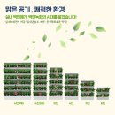 미니숲 이미지