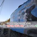 새마을로7번길 이미지