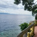 은빛파랑 | 보홀 나팔링투어 프리다이빙 가격 투어 시간 오후 후기