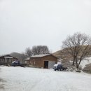 준호목장 이미지