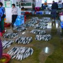 강진군수산업협동조합 이미지