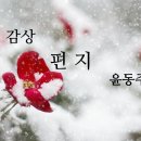 [시 감상] 윤동주 - '편지' 이미지