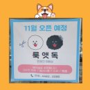 룩앳독 이미지
