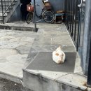 또와서점 이미지