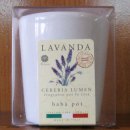 라벤더(LAVENDA)