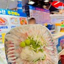제주 서귀포 올레시장 강담돔 맛집 제주도 회 포장 횟집 바다수산